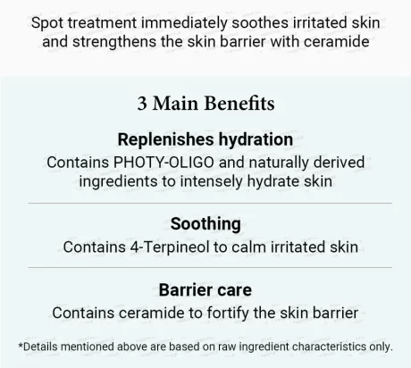 AXIS - Y Spot The Difference Blemish Treatment